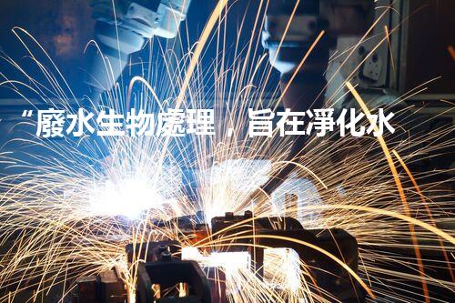 “廢水生物處理，旨在凈化水源，守護碧水藍天”